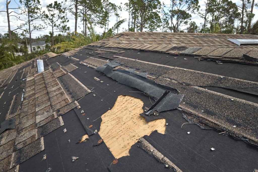 damaged house roof with missing shingles after hur 2026 01 07 06 38 45 utc Large